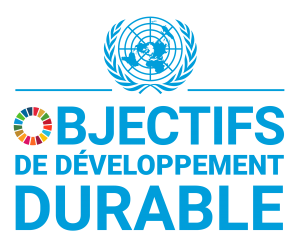 Logo des Objectifs de développement durable des Nations unies